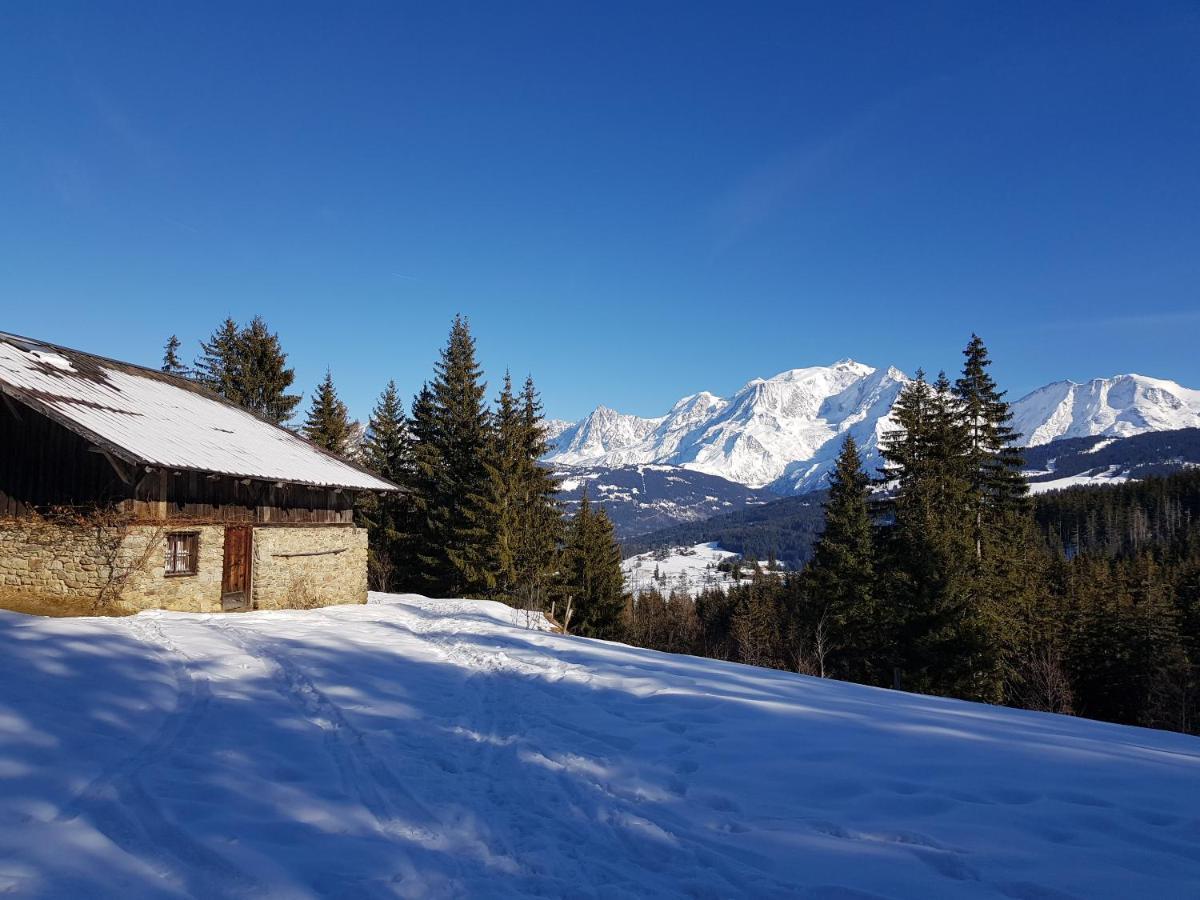 Appartement - Combloux Zewnętrze zdjęcie